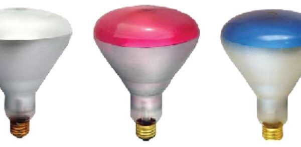 Cosmetic Flood Light Bulbs 120w - Large - Image 1